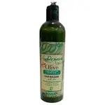 Olive Oil Conditioner